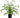 Allstate Asian Bayberry Plant in Plastic Pot 26.5" - Artificial Shrubs Silk