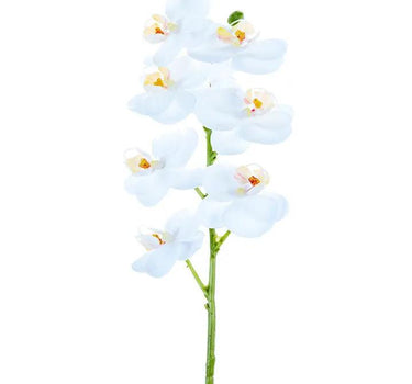 AmBest Real Touch Phalaenopsis Orchid White 24" - Artificial Flowering Plants Silk
