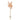 Allstate Preserved Foxtail Grass Bundle 9" - Uncategorized Silk