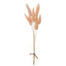 Allstate Preserved Foxtail Grass Bundle 9" - Uncategorized Silk