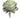 Allstate Rose Echeveria Pick Green 6.3" - Uncategorized Silk