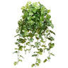 Allstate Split Philo Hanging Bush 36" - Uncategorized Silk