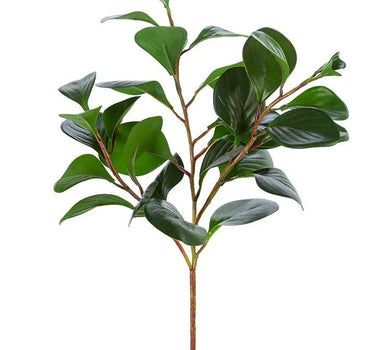 AmBest Peperomia Spray 26" - Artificial Non-Flowering Plants Silk