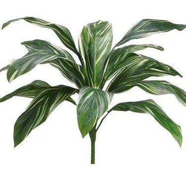 Allstate Cordyline Bush Green-White 26" - Uncategorized Silk