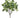 Allstate Fittonia Leaf Bush 18" - Uncategorized Silk