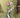 John Mark - JME Red/White/Blue Stripe Dupion Ribbon 1"  x 10yd