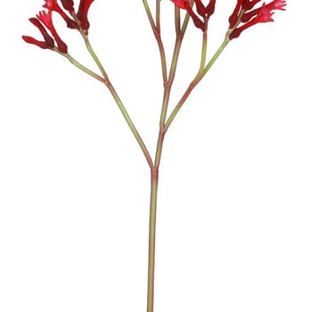 Winward Kangaroo Paw Spray Red - Artificial Flowering Plants Silk