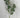 Supreme Lambs Ear Spray w/ Snow 28" - Uncategorized Silk