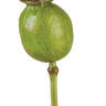 AmBest Large Poppy Pod Green 19.5" - Uncategorized Silk