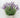 Supreme Lavender with White Pot 30" - Artificial Non-Flowering Plants Silk