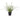 Allstate Lily Turf Grass in Plastic Pot 18" - Artificial Non-Flowering Plants Silk