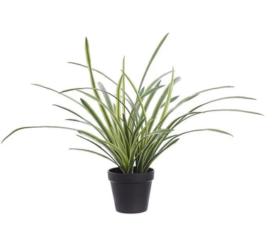 Allstate Lily Turf Grass in Plastic Pot 18" - Artificial Non-Flowering Plants Silk