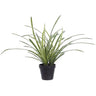 Allstate Lily Turf Grass in Plastic Pot 18" - Artificial Non-Flowering Plants Silk