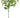 Select Mini Amaranthus Green 35" - Artificial Non-Flowering Plants Silk