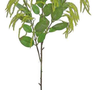 Select Mini Amaranthus Green 35" - Artificial Non-Flowering Plants Silk
