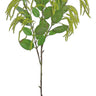 Select Mini Amaranthus Green 35" - Artificial Non-Flowering Plants Silk