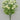 Golden Bell Mini Ranunculus Bush Cream 16" - Artificial Flowering Plants Silk