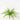 Supreme Mini Boston Fern Bush - Uncategorized Silk