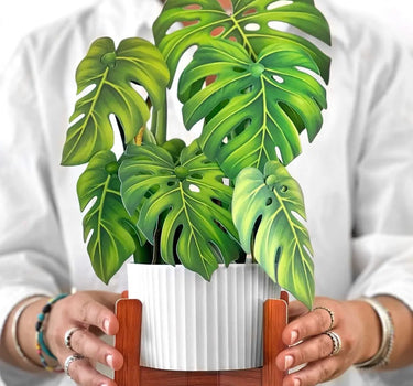 FreshCut Paper LLC Monstera Pop-Up Greeting Card - Greeting Cards Merchandise