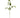 Allstate Moss Hanging Spray Green 55" - Artificial Non-Flowering Plants Silk