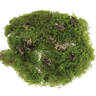 Select Moss Mat 11" - Uncategorized Silk
