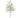 Muehlenbeckia Wire Spray Green 37" - Evergreen Home and Floral