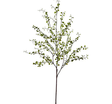 Muehlenbeckia Wire Spray Green 37" - Evergreen Home and Floral