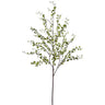 Muehlenbeckia Wire Spray Green 37" - Evergreen Home and Floral