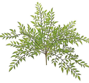 Select Nandina Leaf Bush 15" - Uncategorized Silk