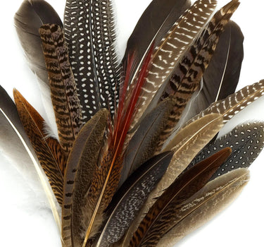 Natural Pheasant Feathers  4-10" (Pack of 20)