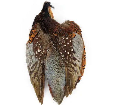 Natural Ringneck Pheasant Pelt (Assorted Sizes)