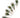 Natural Peacock Feathers with Complete Eyes  2-4" (Pack of 25)