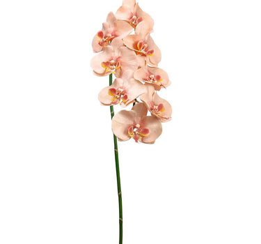 Allstate Phalaenopsis Orchid Spray Light Peach 40" - Artificial Flowering Plants Silk
