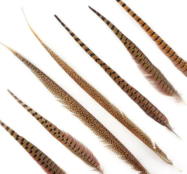 Natural Pheasant Tail Feathers 16-30" (Pack of 10)