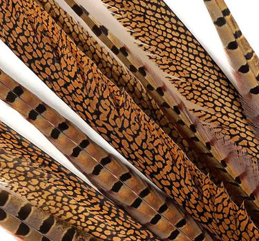 Natural Pheasant Tail Feathers 16-30" (Pack of 10)