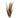 Natural Pheasant Tail Feathers 16-30" (Pack of 10)