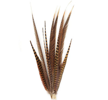Natural Pheasant Tail Feathers 16-30" (Pack of 10)