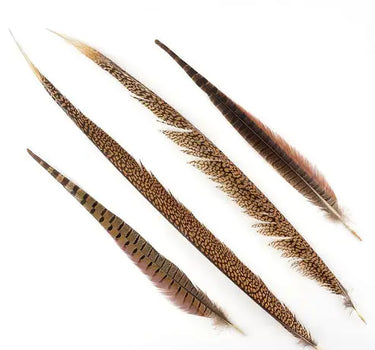 Natural Pheasant Tail Feathers 16-30" (Pack of 10)