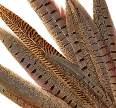 Natural Pheasant Tail Feathers  8-14"  (Pack of 10)