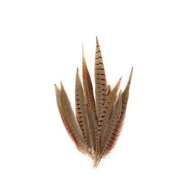 Natural Pheasant Tail Feathers  8-14"  (Pack of 10)