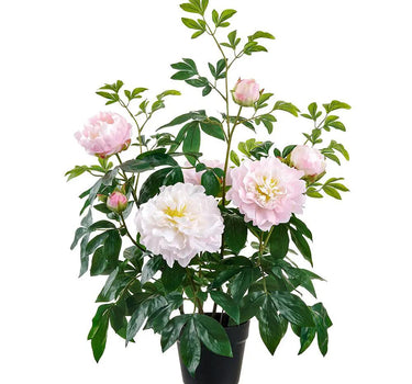 Allstate Pink Peony Plant in Plastic Pot 30" - Artificial Flowering Plants Silk