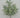 Golden Bell Plastic Leaves Bush 21" - Artificial Shrubs Silk