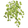 Allstate Pothos Bush Light Green 24" - Artificial Non-Flowering Plants Silk
