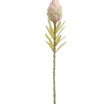 Allstate Protea Spray Pink-Green 22" - Uncategorized Silk