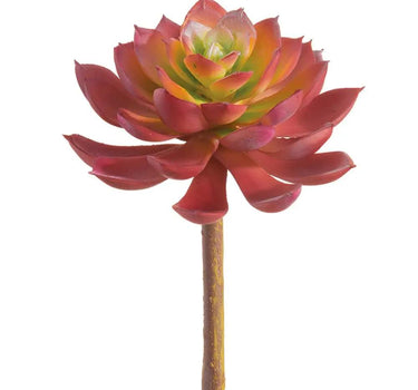 Allstate Real Touch Echeveria Pick Red-Green 7" - Artificial Non-Flowering Plants Silk