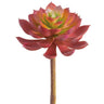 Allstate Real Touch Echeveria Pick Red-Green 7" - Artificial Non-Flowering Plants Silk