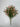 Le Fleur Real Touch Mini Lily Bush White-Pink 21" - Artificial Flowering Plants Silk