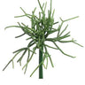 Allstate Real Touch Pencil Cactus Pick 8" - Artificial Non-Flowering Plants Silk