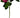Select Real Touch Rose Spray Hot Pink 26" - Artificial Flowering Plants Silk