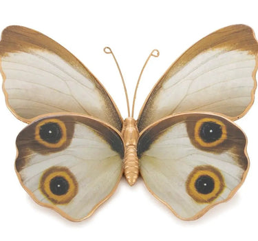 Melrose Resin Brown Butterfly (2 Sizes) 4"L, 5"L Resin - Figurines Merchandise